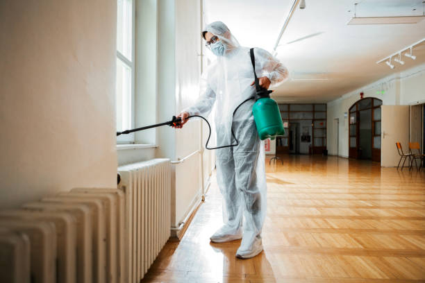 Best Wasp Removal Services  in Middletown, KY