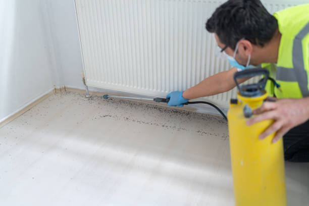 Best Bed Bug Extermination  in Middletown, KY