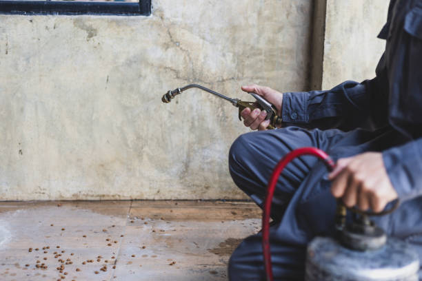 Reliable Middletown, KY Pest Control Solutions